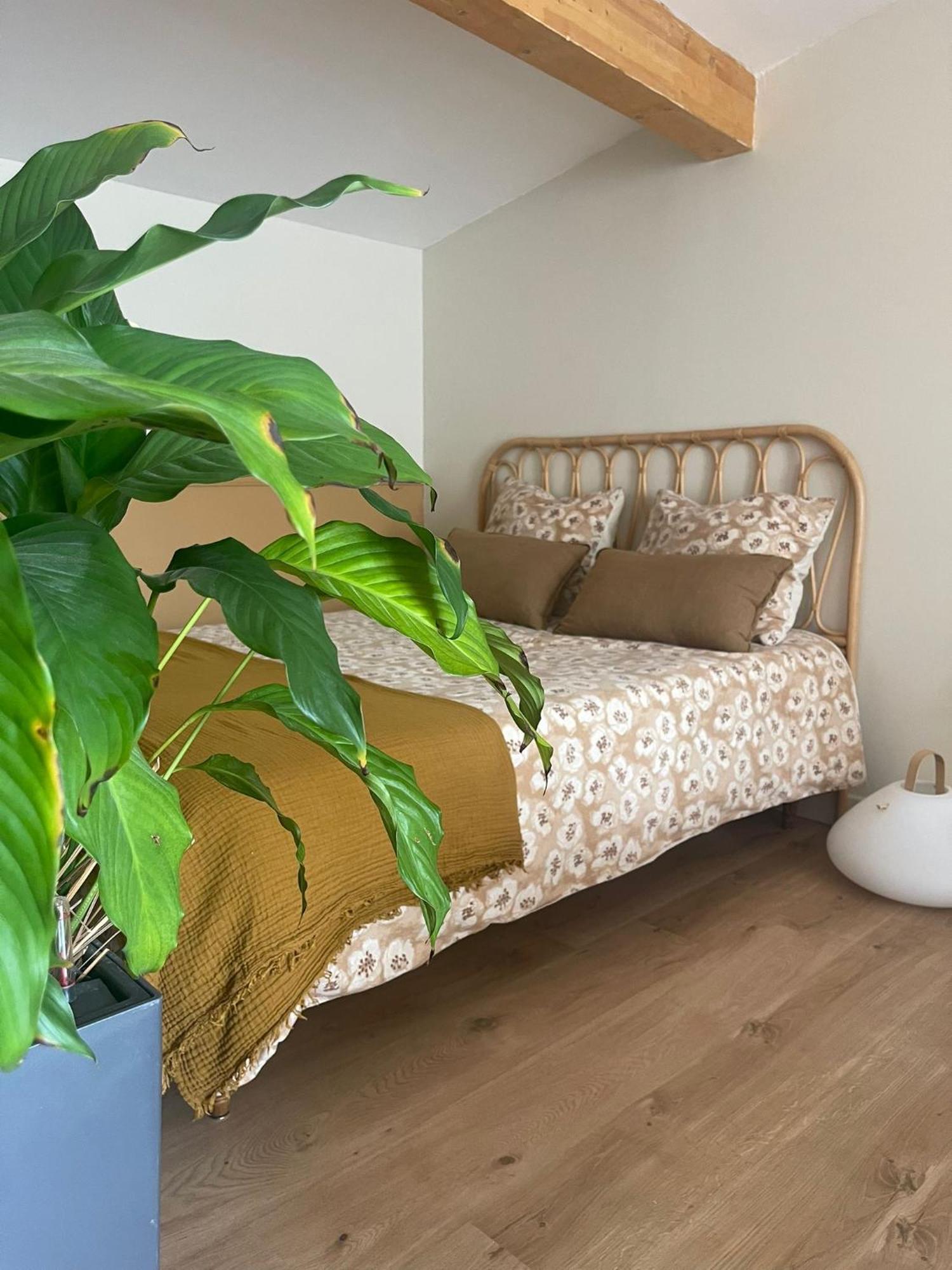 Studio Cosy Castanet-Tolosan ภายนอก รูปภาพ